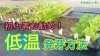 「【厳寒期のタネまき】初心者でも簡単な発芽方法　タネのハシモト」