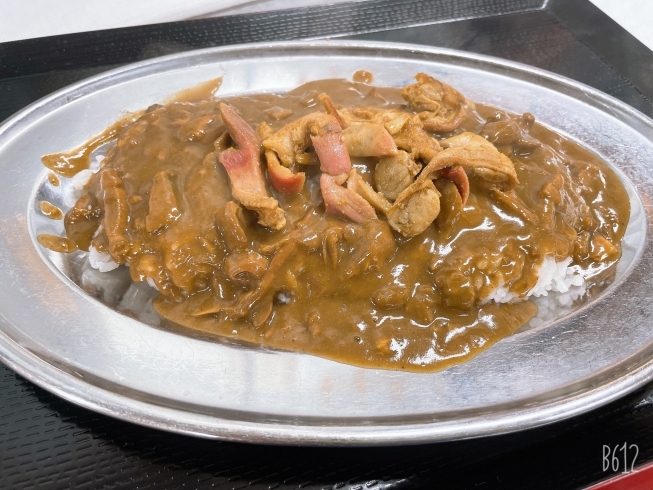 「当店自慢のホッキカレー‼︎」