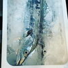 太刀魚　千葉県「3月5日　朝4時　本日の魚介の仕入れです」