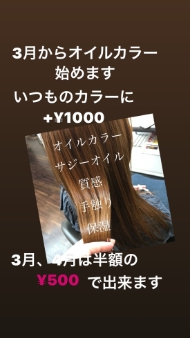 サジーオイル「オイルカラー【髪質改善は京都市西京区のヘアサロン、フレールにお任せ下さい】」