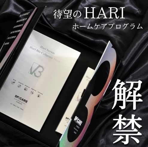 「V3 HARI SET予約受付中です✨」