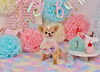 Happy birthday パラムくん　「Anniversary photo　(^O^)／」