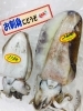 「西海物産館 魚魚市場鮮魚コーナーおすすめ商品は「イカ・キアラカブ・大鯛の切り身」です♪」
