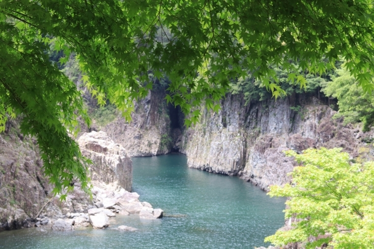 桜や紅葉の季節に行きたくなる観光地 瀞峡 Tic Wakayama ゆたか旅案内所のニュース まいぷれ 和歌山市