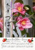 つばき展ポスター「つばき展」