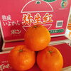 「愛媛県産「熟成いよかん・弥生紅(やよいべに)」が今年も入荷していますよ～」