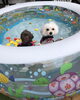 ふたりとも頑張ったね^ - ^「泳ぐ　しゃかクン＆ちきクン」