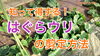 「青はぐらウリの誘引作業　タネのハシモト」