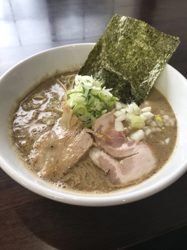 煮干し×豚骨の「にぼとん」「【帯広市：博多豚骨ラーメンの店　TAZATON（タザトン）】新レギュラーメニュー登場」