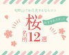 桜特集「春はすぐそこ！「桜特集」」