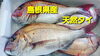 「○本日のお刺身○【島根県産】天然タイ、ヒラマサ」