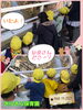 みんな真剣に探します♡「発見がいっぱい♪【交野市・小規模保育園】」