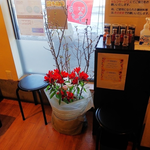 もうすぐ咲くサクラ「小樽 春花プロジェクト」