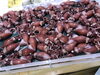 「ホタルイカ　富山産」