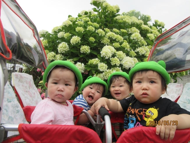 「【速報】0歳児さん空きがあります！　松山市の幼保連携型　認定こども園　 立花こども園♪」