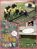 ♪さいた～さいた～  チューリップの花が～「みんなといっしょ♡ 【交野市・小規模保育園】」