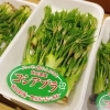 秋田県産「こしあぶら」でーす♪♪(栽培物です)