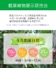 「観葉植物展示即売会のお知らせ」
