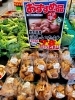 「野菜売り場の今週のイチオシ商品は…《生しいたけ》となっております✨」