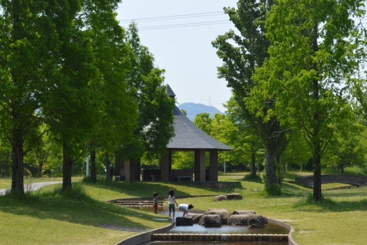 「山田池公園」美しい四季の移ろいを見せる山田池公園