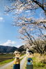 「桜ロケの撮影ポイント探しに行ってきました❗️」
