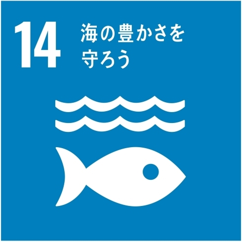 川のゴミ拾いは海にもつながります！「SDGs活動について」