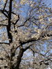 「今日は3月最後の定休日ですʅ（◞‿◟）ʃ」