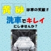 今日は黄砂がたくさん飛んでいます。黄砂には洗車がオススメです。