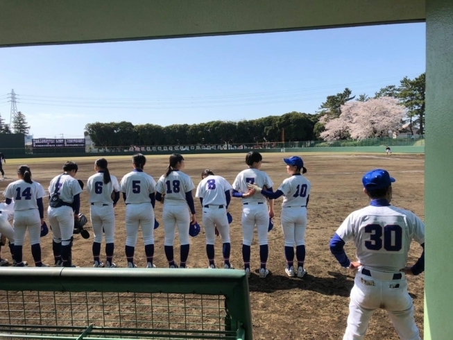 「【女子硬式野球部】ベスト8決定！」