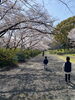 「マ・マ・あ・る・あ・る【まいぷれ・西京区・南区・編集部】」