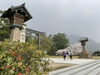 桜アップ写真も観てね「出雲大社満開今だよ」