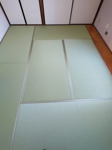 ダイケン和紙畳表を使用した畳「畳の事ならお任せください！変色しにくい！耐久性があるダイケン和紙畳の施工もお任せください！」
