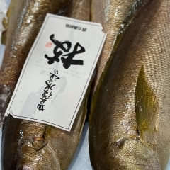 4月3日朝4時、Bar篠崎　船橋市場にて本日の魚介の仕入れです。