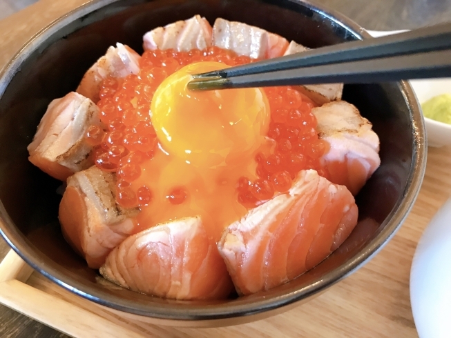 「炙りサーモン丼✨」