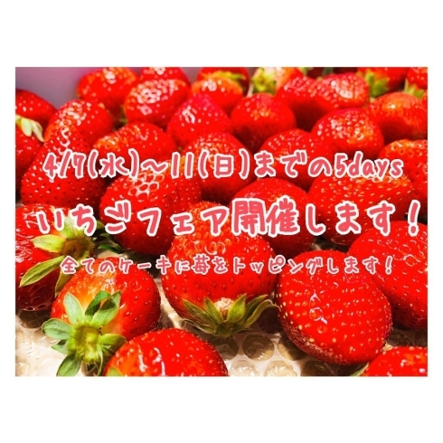 「7日(水)～11日(日)の期間、いちごフェアを開催します♬」