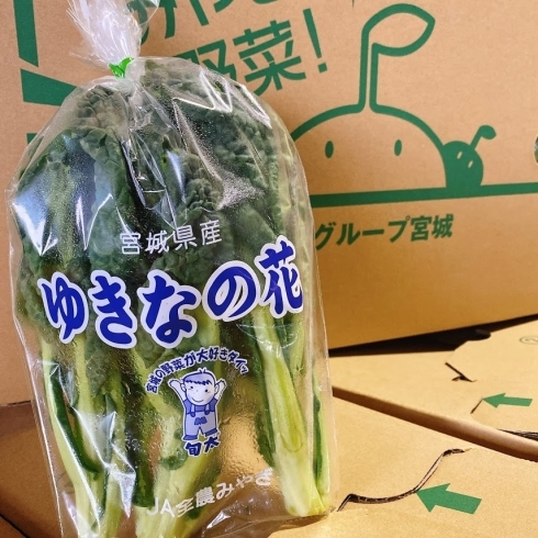 「「仙台ゆき菜」の出荷は終わりましたが、代わりに 「ゆきなの花」が入荷していますよー！！」