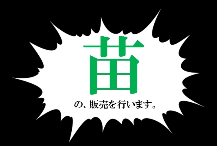 苗　の、販売を行います。「★苗の販売のご案内★」