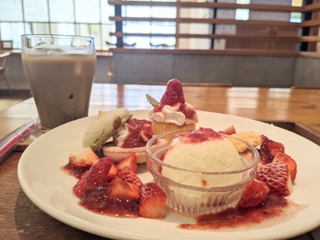 スペシャルプレート！　ドリンクも付いてきます♪「【西条市丹原町来見】スイーツ好きには最高のMENU！ Sweets Cafe Mama's Licht（ママズリヒト）さんの新メニュー！」