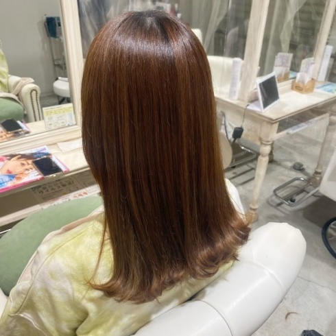 伊丹 美容室 dot.hair トリートメント「カットモデル」