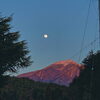 「test」