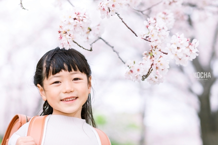 個別撮影のお写真から、桜とランドセル♪「ソメイヨシノ撮影会、3/27分の納品が完了しました！【江戸川区でこども・ファミリーの出張撮影をしています】」