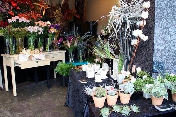 まいぷれ八王子