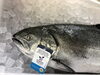 「キングサーモン養殖」