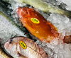 「西海物産館 魚魚市場鮮魚コーナーおすすめ商品は「赤ハタ・ヒラメ」です♪」