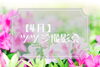 4月の撮影会はツツジです♪「4月ツツジ撮影会のお知らせ【江戸川区でこども・ファミリーの出張撮影をしています】」