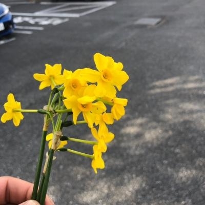 睡蓮「睡蓮とハンマーナイフ!!茨城で除草作業といえば!!」