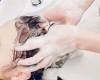 「スパで身体を整えよう♥『胃腸の働きを整える』」