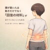 動きだけでなく、“回復の材料”も大切です。 たんぱく質・ミネラル・酸素 など。「【草津市】腰痛は腰に原因？骨盤・股関節・回復材料から考える整体の視点」