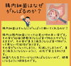 「がんばるのはわたしそれとも…」