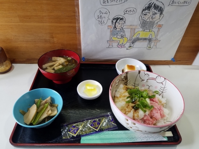 「ネギとマグロの、とろろ芋丼。 ４月13日(火曜日)の日替わりランチ」